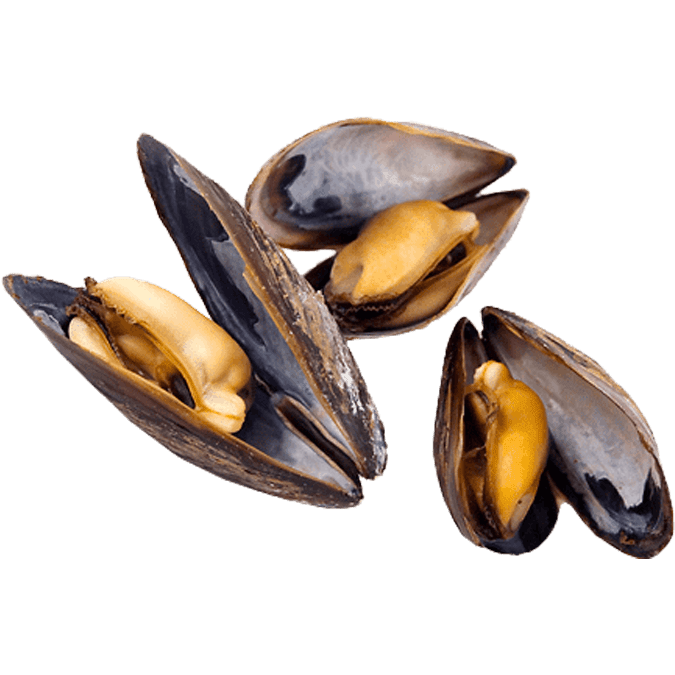 Mejillones